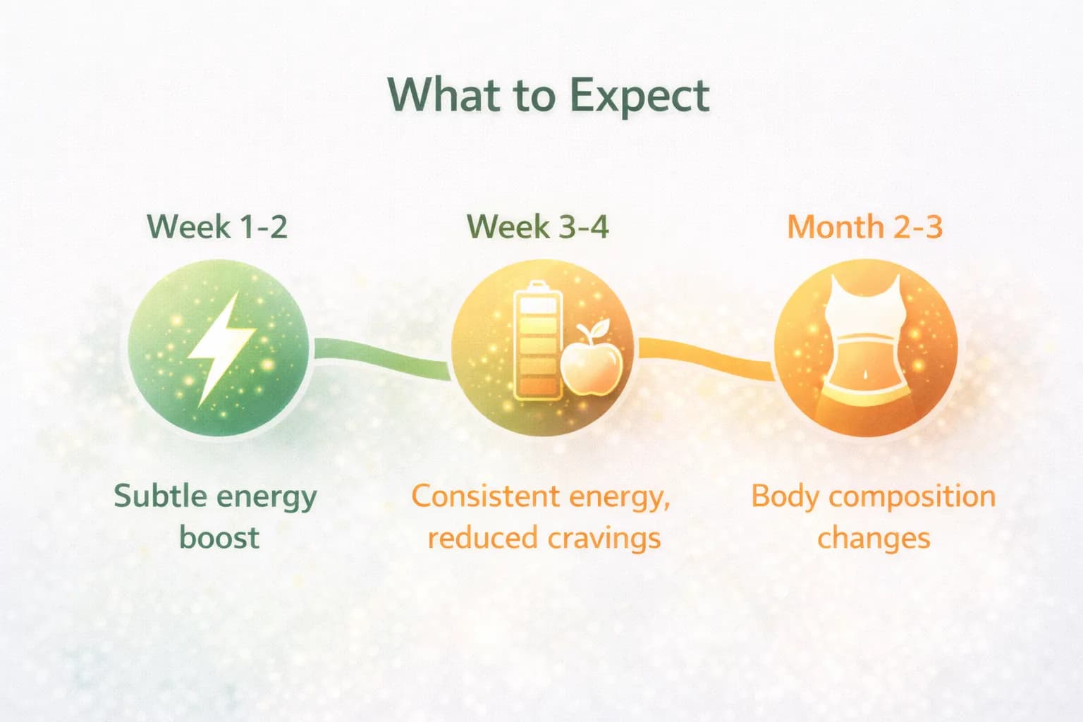 Results timeline: Week 1-2 subtle energy boost, Week 3-4 consistent energy and reduced cravings, Month 2-3 noticeable body composition changes