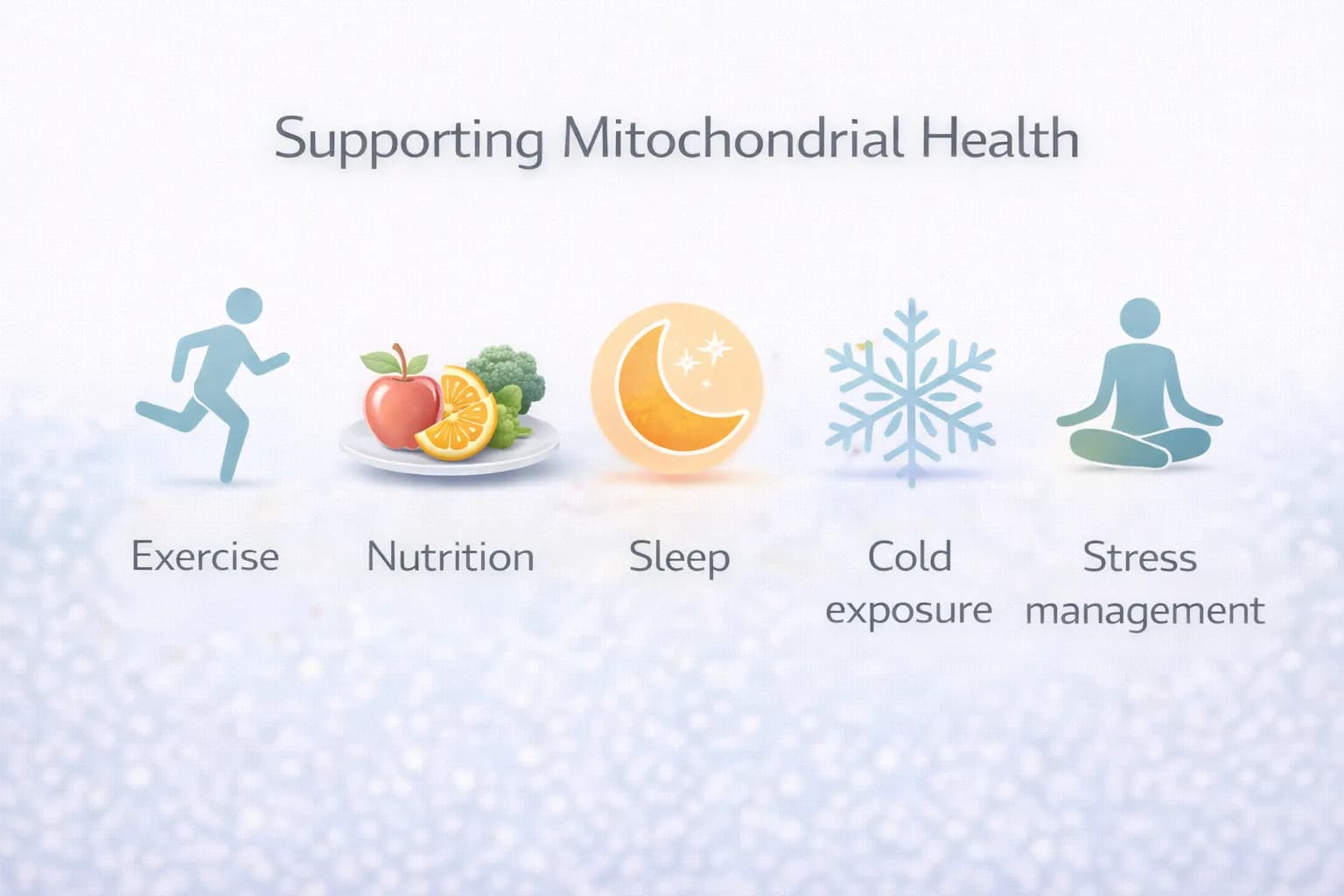 Infographic showing 5 ways to support mitochondrial health: exercise, nutrition, sleep, cold exposure, and stress management